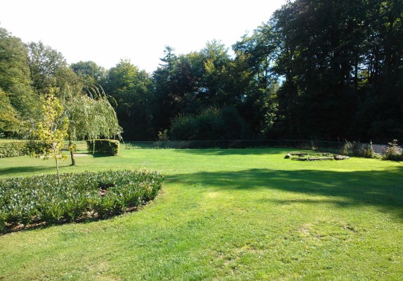 WP_000121.jpg